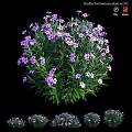 Vibrant Garden Flower Arrangement With Purple Blooms And Lush Green Leaves