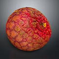 Fresh Ripe Tropical Fruit With Red And Yellow Rough Textured Skin