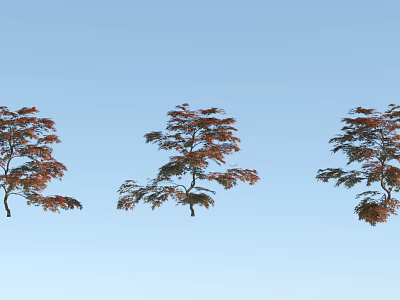 Three Arbor Trees With Red Orange Leaves Against Blue Sky Background 3d model