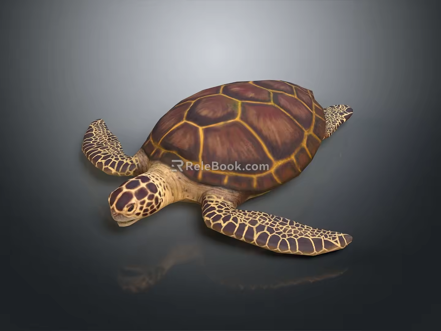 Turtle Cartoon Turtle Snapping Turtle Chickbill Turtle Reptile Cold Blooded Animal Reptile Class 3d model