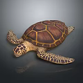Turtle Cartoon Turtle Snapping Turtle Chickbill Turtle Reptile Cold Blooded Animal Reptile Class 3d model