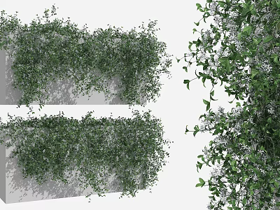Lush Green Vines With White Flowers Growing On Decorative Wall Structure 3d model
