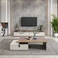 Modern TV Stand with Storage Drawers and Flat Screen TV Decorative Plants in Living Room