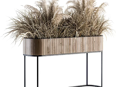 Modern Potted Reed Grass In Striped Wooden Planter On Black Metal Stand 3d model