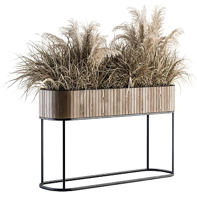 Modern Potted Reed Grass In Striped Wooden Planter On Black Metal Stand 3d model