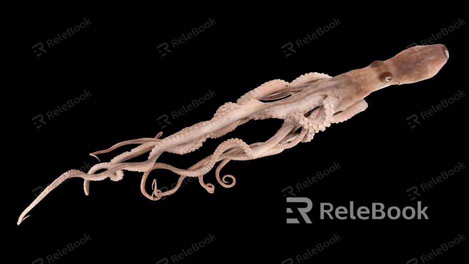 Modern Octopus Small Octopus Long Arm Octopus model