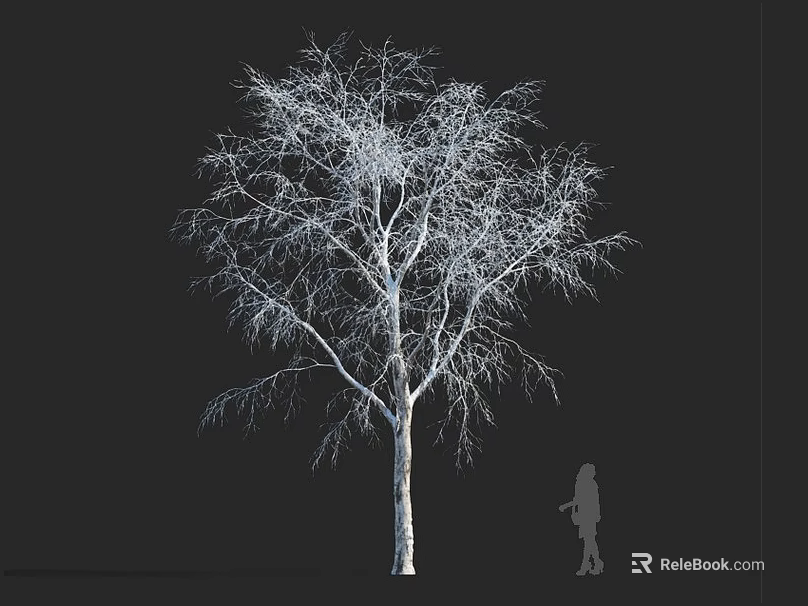 Leafless Arbor with Bare Branches on Black Background and Human Silhouette 3d model