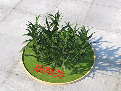Fresh Green Leafy Vegetables On Circular Green Tray With Vegetable Category 3d model
