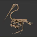 Realistic Human Skeleton Model Medical Device for Anatomical Education and Training