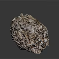 Unique Brain Shaped Brown Vegetable With Wrinkled Texture And Layered Structure On Dark Background