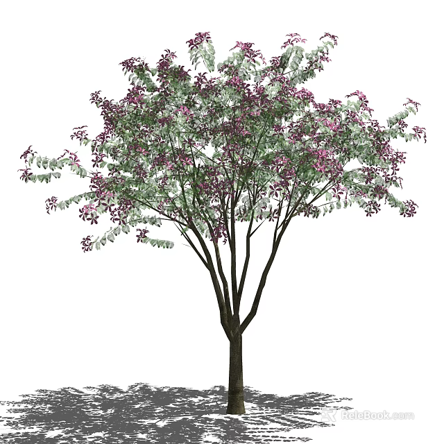Vibrant Flowering Arbor With Purple Blossoms Green Leaves And Dark Trunk 3d model 