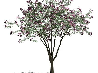 Vibrant Flowering Arbor With Purple Blossoms Green Leaves And Dark Trunk 3d model
