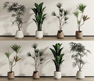 Modern potted plant combination 3d model