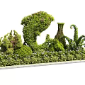 Artistically Trimmed Decorative Bushes Shaped Into Creative Garden Sculptures With Lush Foliage