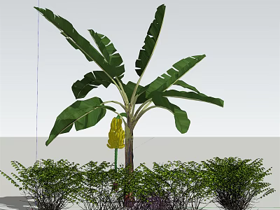 Green Shrubs In Garden Landscaping With Lush Foliage And Decorative Plants 3d model