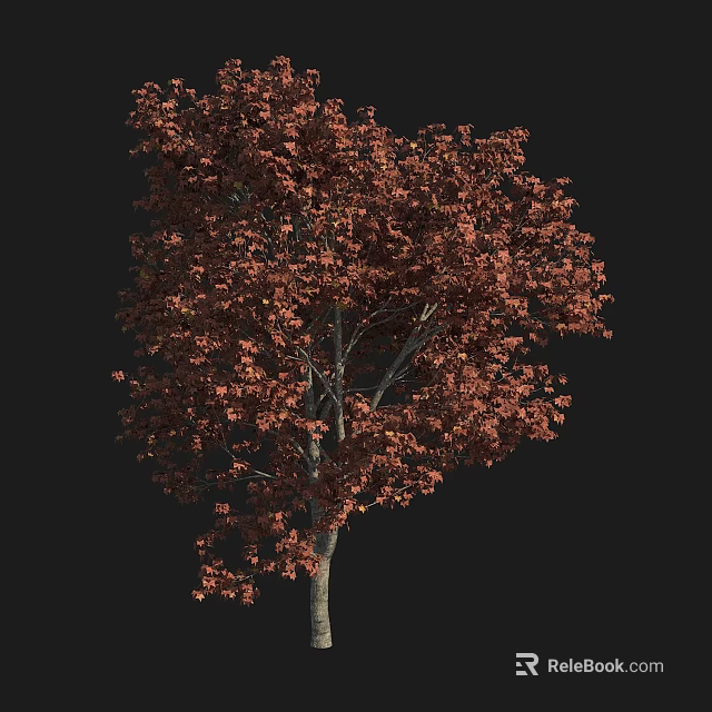 Tall Arbor With Dense Reddish Brown Leaves Against Black Background 3d model 