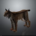 Lynx With Brown Spotted Fur Pointed Ears And Black Tufts Standing On Gray Background