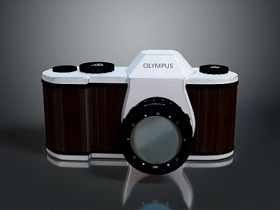 Olympus Retro Style Camera With White Body And Brown Wooden Accents 3d model