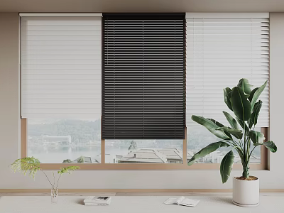 Black and White Window Blinds with Lake View and Indoor Plants Decor 3d model