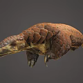 Detailed Pangolin With Brown Scales And Curled Body In 3D Render