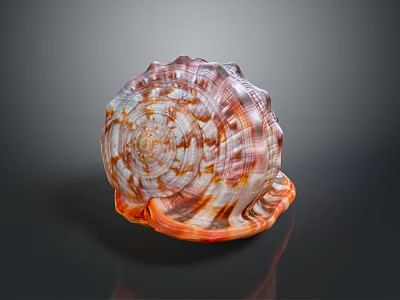 Stunning Marine Snail Aquatic Animal with Spiral Shell and Intricate Color Patterns 3d model