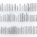 European Railing Component 3d model