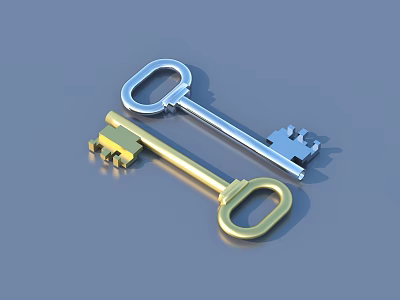 Two Gold And Silver Keys As Daily Life Supplies On Blue Background 3d model