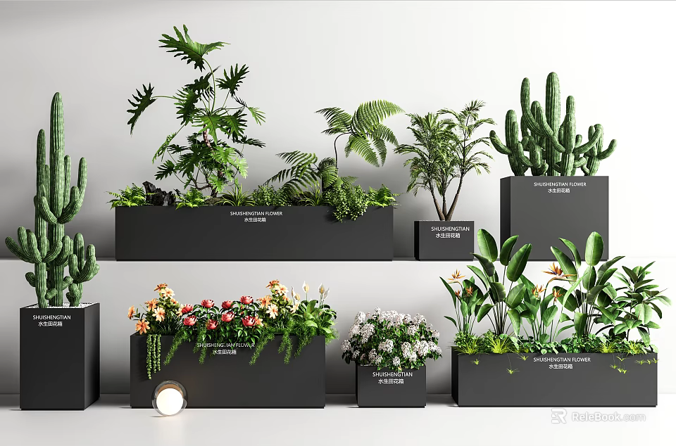 Various Bonsai Potted Plants Including Cactus Ferns And Flowering Varieties In Black Containers 3d model 