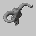 Detailed Bull Skull With Black Horns And Skeletal Features On White Background