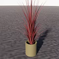 Bonsai Potted Plant With Red Slender Leaves In Beige Cylindrical Pot On Gray Ground