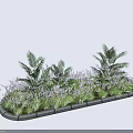 Garden Flower Bed With Palm Plants Lavender Flowers Green Grass And Concrete Edging