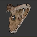 Detailed Dinosaur Skull Organ Anatomy With Sharp Teeth And Hair Traces