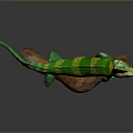 Vibrant Green and Yellow Chameleon Perched on Brown Branch with Crest