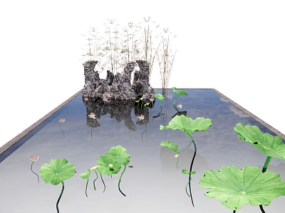 Small Garden Ornament With Lotus Leaves Flowers And Rock Formations In Pond 3d model