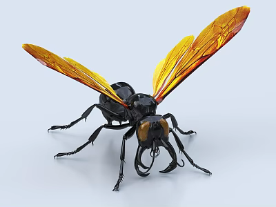 Yellow Winged Aquatic Insect With Black Body And Large Mandibles 3d model