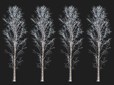 Four Leafless Trees With Clear Trunks And Branches Against Black Background 3d model