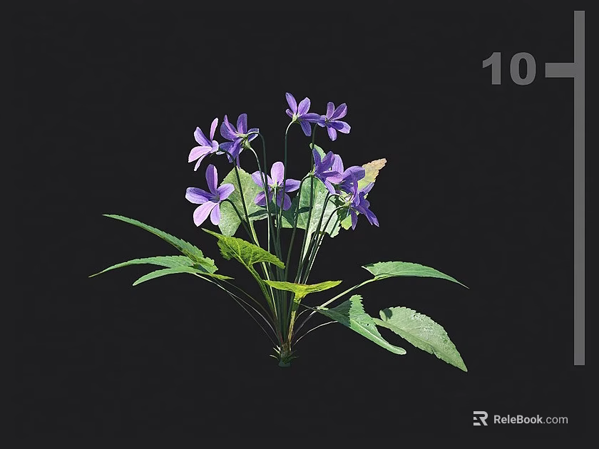 Vibrant Purple Flowers with Lush Green Leaves and a Butterfly Perched 3d model 