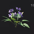 Vibrant Purple Flowers with Lush Green Leaves and a Butterfly Perched