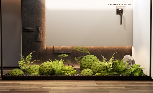 Modern moss ball indoor plants landscaping courtyard sketch moss plant pile ferns 3d model