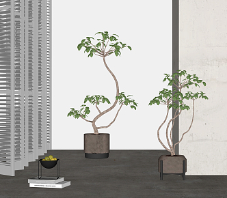 Modern potted plant combination 3d model