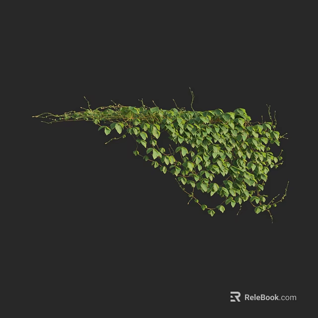 Lush Green Vine With Creeping Stems And Fresh Leaves On Dark Background 3d model 