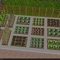 Potted Bonsai Plants In Garden With Wooden Fence And Vegetable Planting Boxes