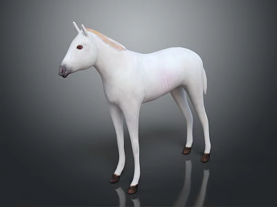White Horse With Golden Mane In Standing Pose Against Gray Background And Reflection On Ground 3d model