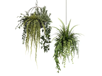 Lush Green Hanging Basket Plants with Ferns and Trailing Vines for Indoor Decor 3d model