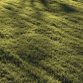 Green grass lawn grass plants flowers 3d model