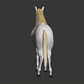 White Horse Standing Gracefully On Black Background With Clear Reflection 3d model