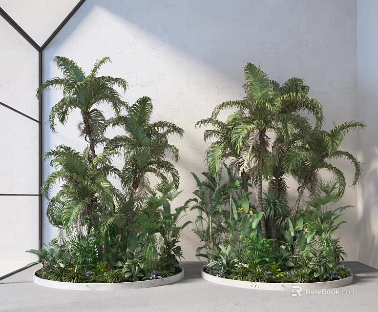 Large Potted Tropical Green Plants With Lush Foliage In Modern White Room 3d model 