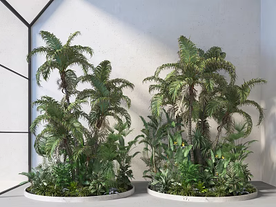 Large Potted Tropical Green Plants With Lush Foliage In Modern White Room 3d model
