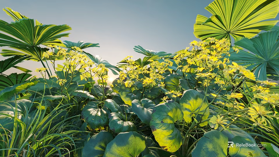 Natural Flowers and Plants with Large Green Leaves and Small Yellow Blooms Under Warm Sunlight 3d model 