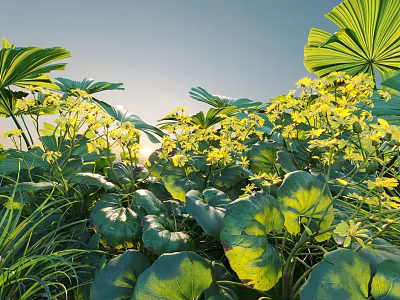 Natural Flowers and Plants with Large Green Leaves and Small Yellow Blooms Under Warm Sunlight 3d model